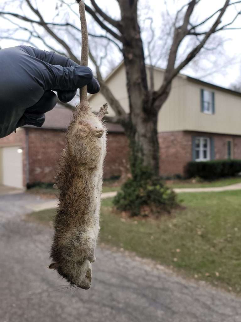 20201207 105439 768x1024