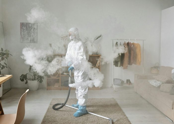 pexels michelangelo buonarroti 4176413